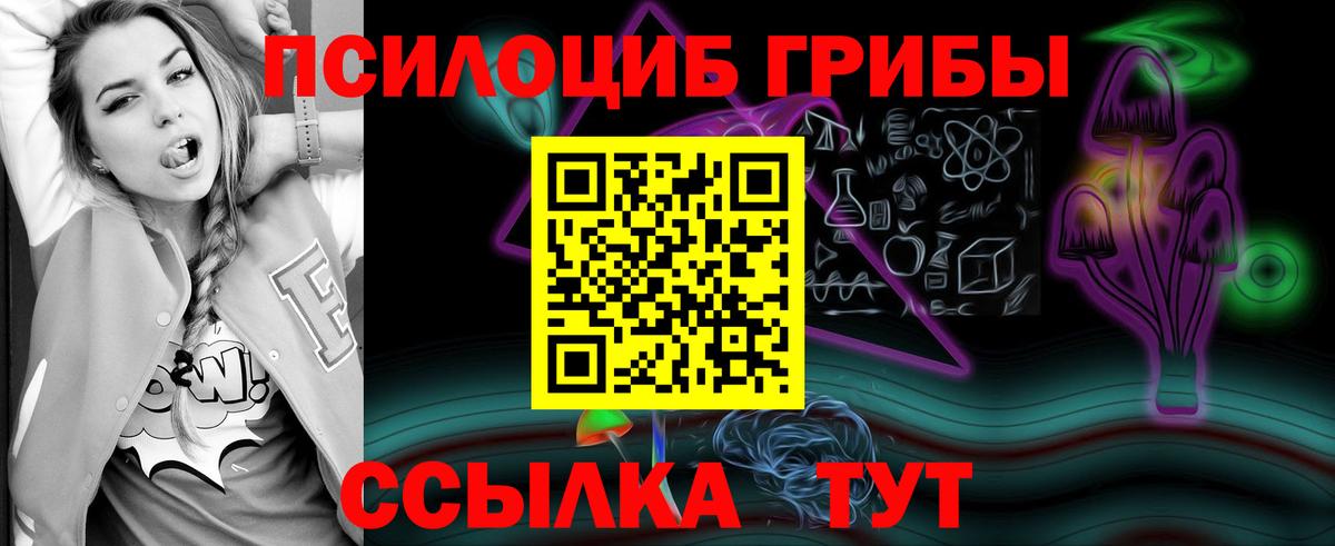 Псилоцибиновые грибы мухоморы Магадан