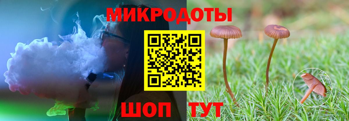 сколько стоит  Вход с VPN  Псилоцибиновые грибы MAGIC MUSHROOMS  Магадан  Псилоцибиновые грибы мицелий 